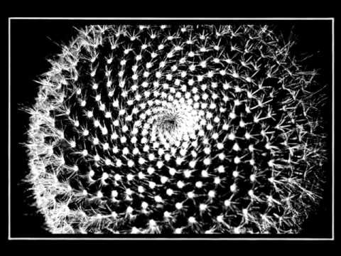 DsorDne - Tensioni (Diffusione Del Germe)