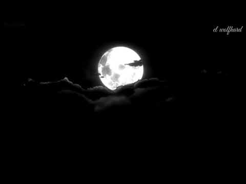 Konai x Kadu Brown - Cidade Lunar