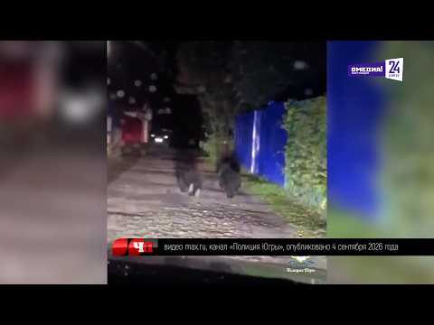 Что произошло. 08.09.26. Под Нижневартовском полицейские спасли дачников от медведей