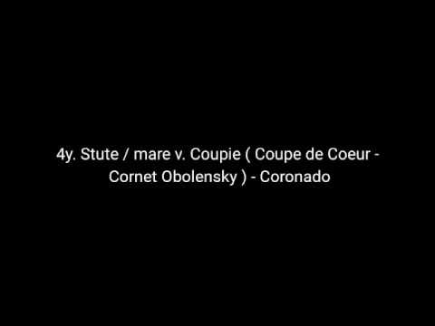 4y. Stute / mare v. Coupie (Coupe de Coeur - Cornet Obolensky) - Coronado