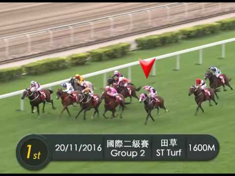 [2016 馬會錦標賽日] 2016.11.20國際二級賽 1600米中銀理財馬會一哩錦標 -「美麗大師」最後200米片段
