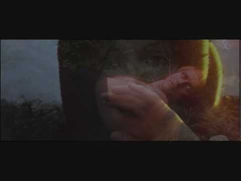 Ladyhawke - Navarre and Isabeau`s Dual Transformation -