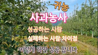 "귀농"사과농사" 실패하는 사람, 성공하는 사람 차이점