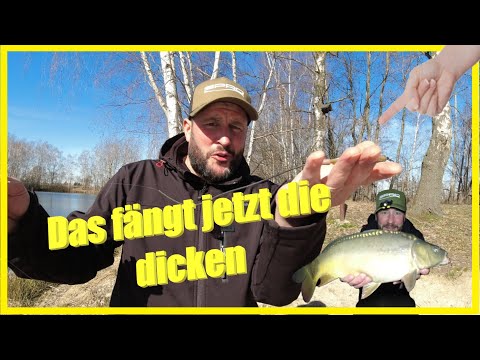Fishing in spring for large peaceful fish with this method it now works with the carp
