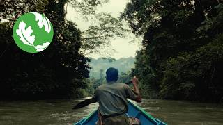 Download lagu Borneo: The Lungs of the World mp3