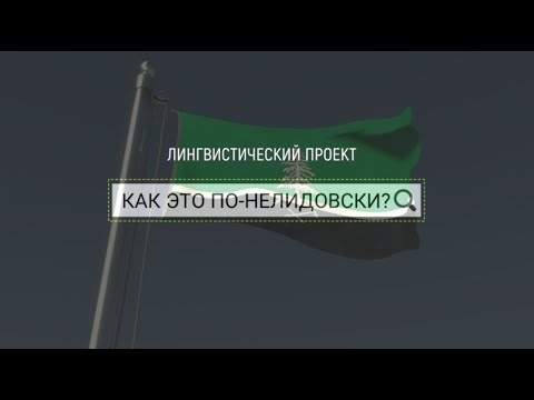 "Как это по-нелидовски?" Лингвистический проект