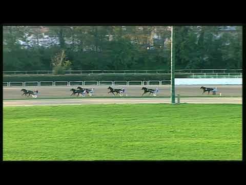 Trotto 06/11/2020 - 1ª prova di qualifica