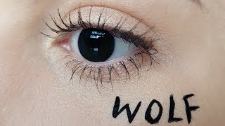 Bearheart - Wolf (Highly Suspect Cover)