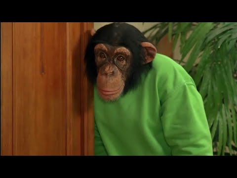 Unser Charly Staffel 16 Folge 2 - Feuer und Wasser