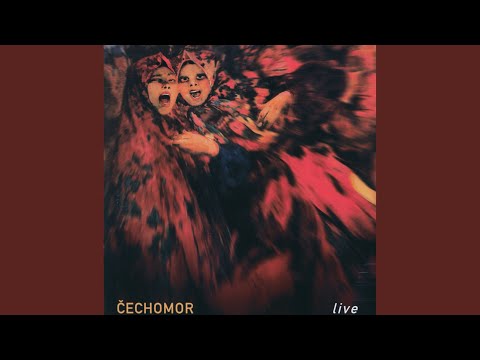 V Zeleném háji (Live)