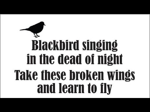 Blackbird (Beatles Acoustic Cover)  - Cristian Regnicoli