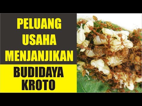 Bagaimana membangkitkan suara seorang wanita Pembesaran penis priporaty