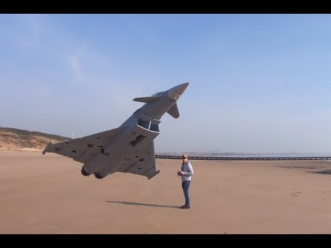 freewing-typhoon-and-camera-man-with-fast-reactions