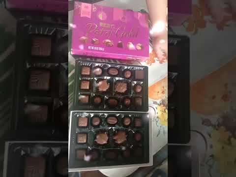Hershey's Pot of Gold Chocolate l Perfect Gift for Valentine l short