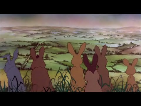 Sue Sandal - Drown The Rabbit