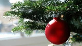 Santa la noche - ExodoBand