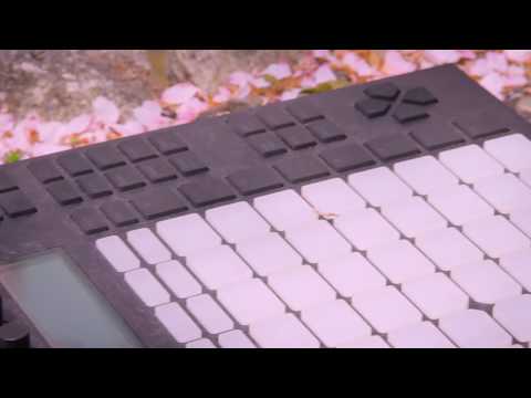 Ableton push live beat - Ally Mobbs - Sakura