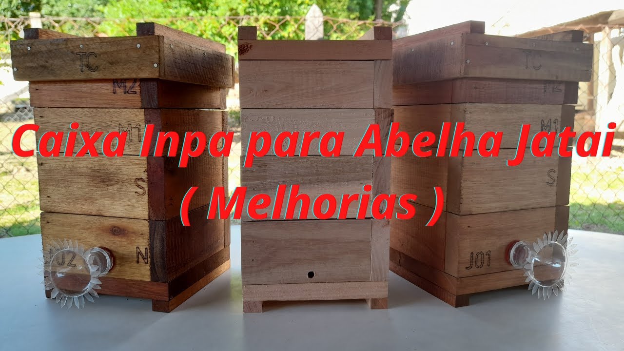 Caixa Inpa para Abelha Jatai ( Melhorias )