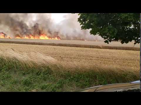 Požár pole u obce Pečice