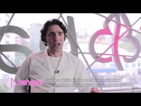 Kako nastaje oplodnja?