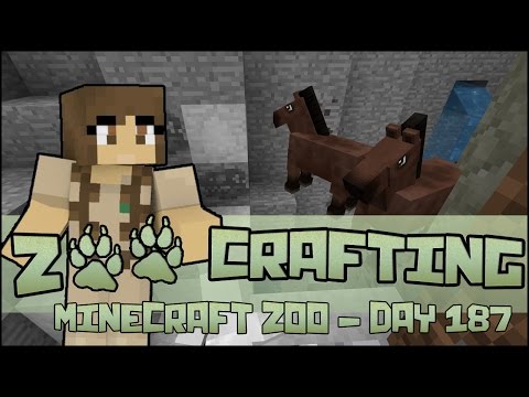 Wild Horse Rescue! 🐘 Zoo Crafting: Season 2 - Episode #187
