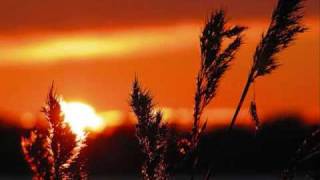 Songs: Ohia - Coxcomb Red