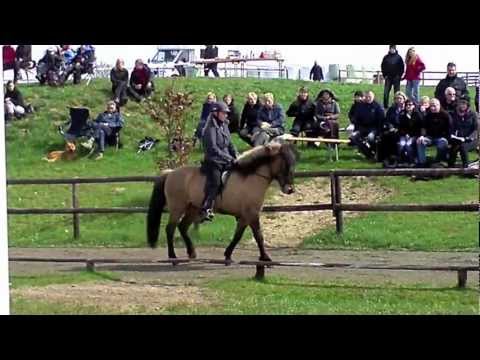 FIZO & Jungpferde Kronshof - 17./18. April 2012