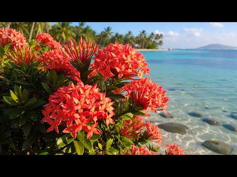 Когда музыка лечит душу 🌿 | Лучшие мелодии Сергея Грищука