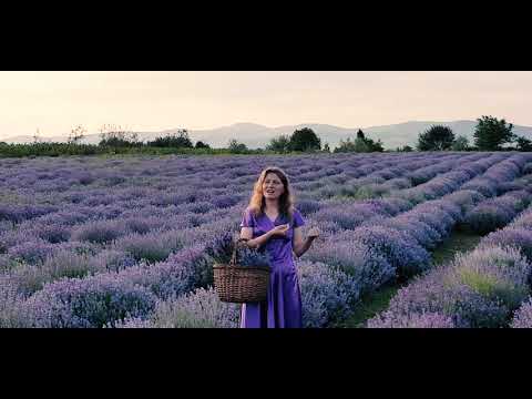 Crede-n El! - Dan Renata