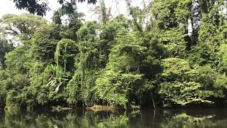 preview picture of video 'Modelo de Carambola Río Costa Rica'