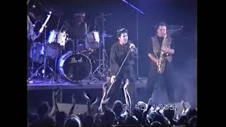 Shakin´ Stevens  - Love Attack