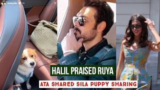 Halil Ibrahim Ceyhan Praised Ruya Coric !Ata Yildiz Shared Sila Turkoglu Puppy Sharing