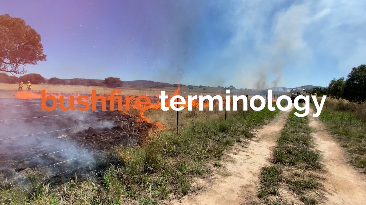 Bushfire Terminology Explained Simply