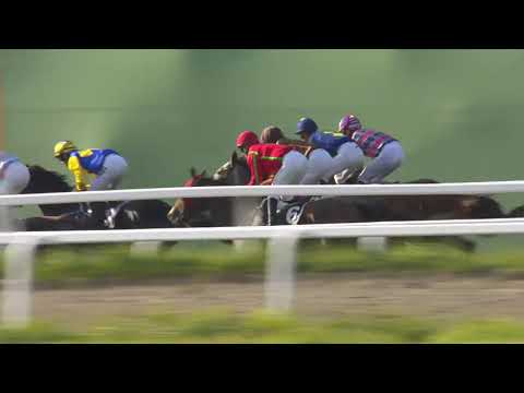 2019.10.06 Breeders Prize Classic (NOR) - Wishformore