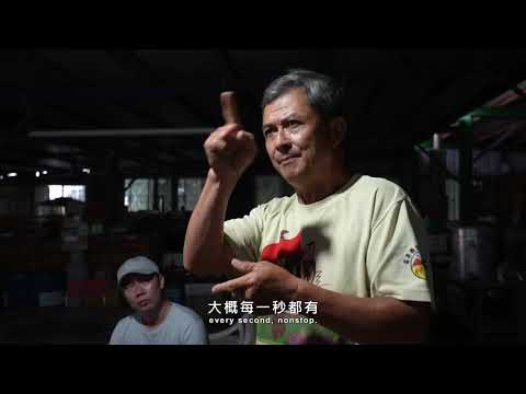 林煥文、林子妘《風影下的島嶼》影片縮圖