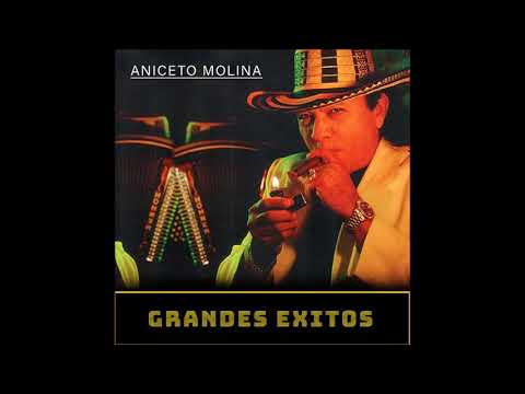 Aniceto Molina - El Diario de un Borracho.