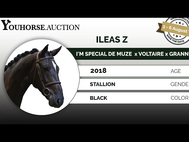 Ileas showvideo