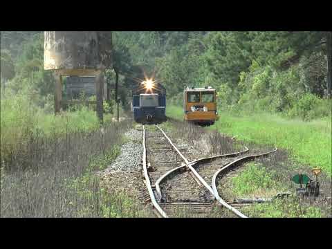 TREM ENTRE INÁCIO MARTINS E GUARAPUAVA/PR