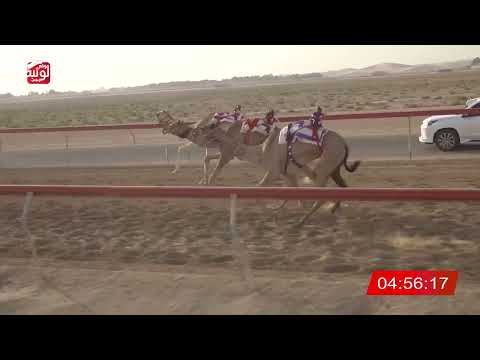  ش 10 (الذيبة) لـ حمد سعد قذلة الاحبابي 7:45 , شارة الديوان 3 2026/10/06 سويحان ايذاع  