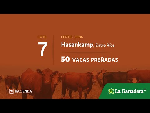 Lote Vacas Preñadas en Hasenkamp
