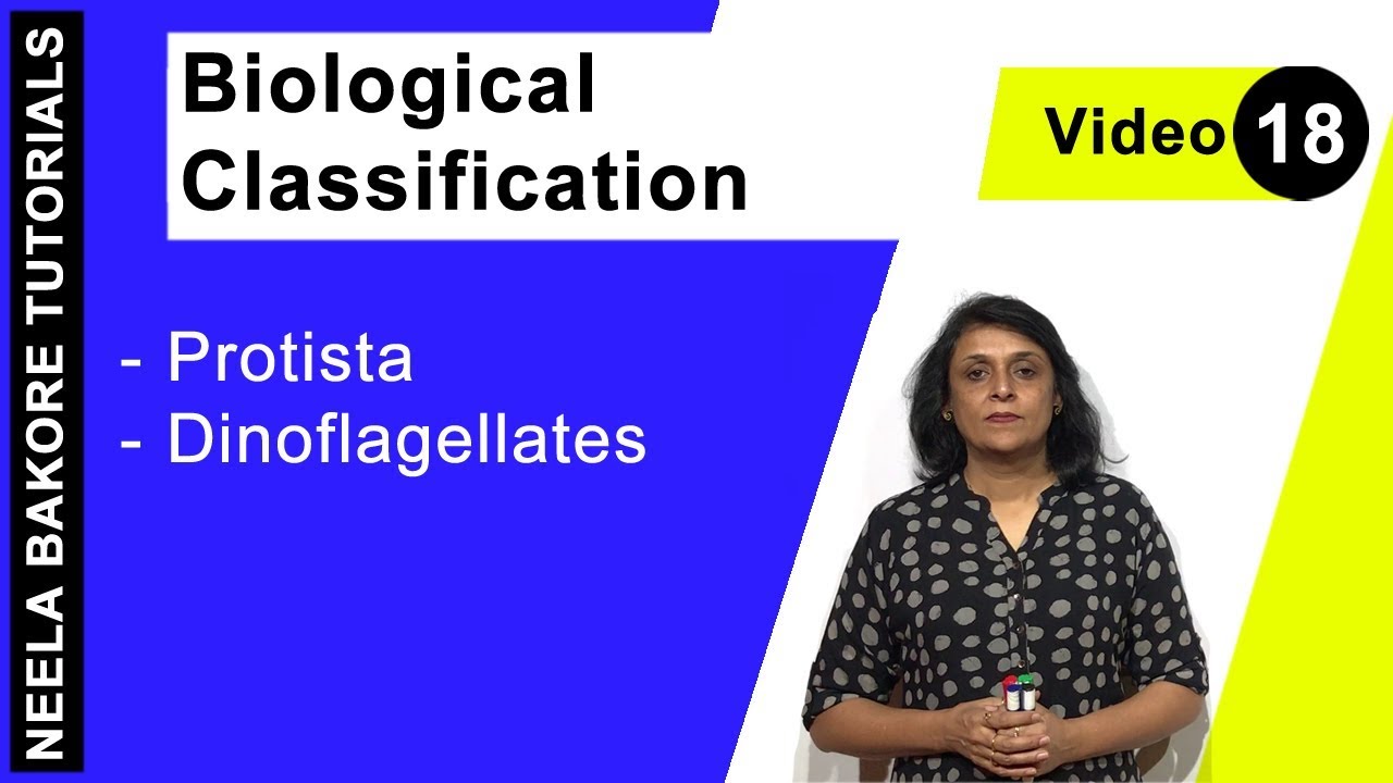 Biological Classification | NEET | Protista - Dinoflagellates | Neela Bakore Tutorials