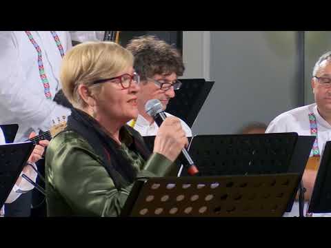 TS Samoborci   Vino i gitare