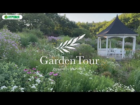 この冬、あなたのエクステリアを明るくするのに、ほとんど何も必要とせず、非常に素朴なコンテナプラント 6 つをご紹介します。  庭園