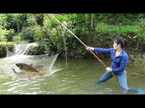 Amazing Cast Net Fishing Skill Catch Giant Fish - Awesome Traditional Net Fishing on The Streams