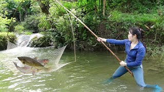 Amazing Cast Net Fishing Skill Catch Giant Fish - Awesome Traditional Net Fishing on The Streams