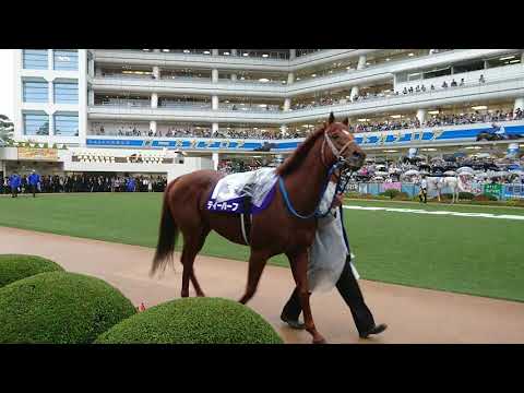 2018.09.30 スプリンターズS（パドック🐎）