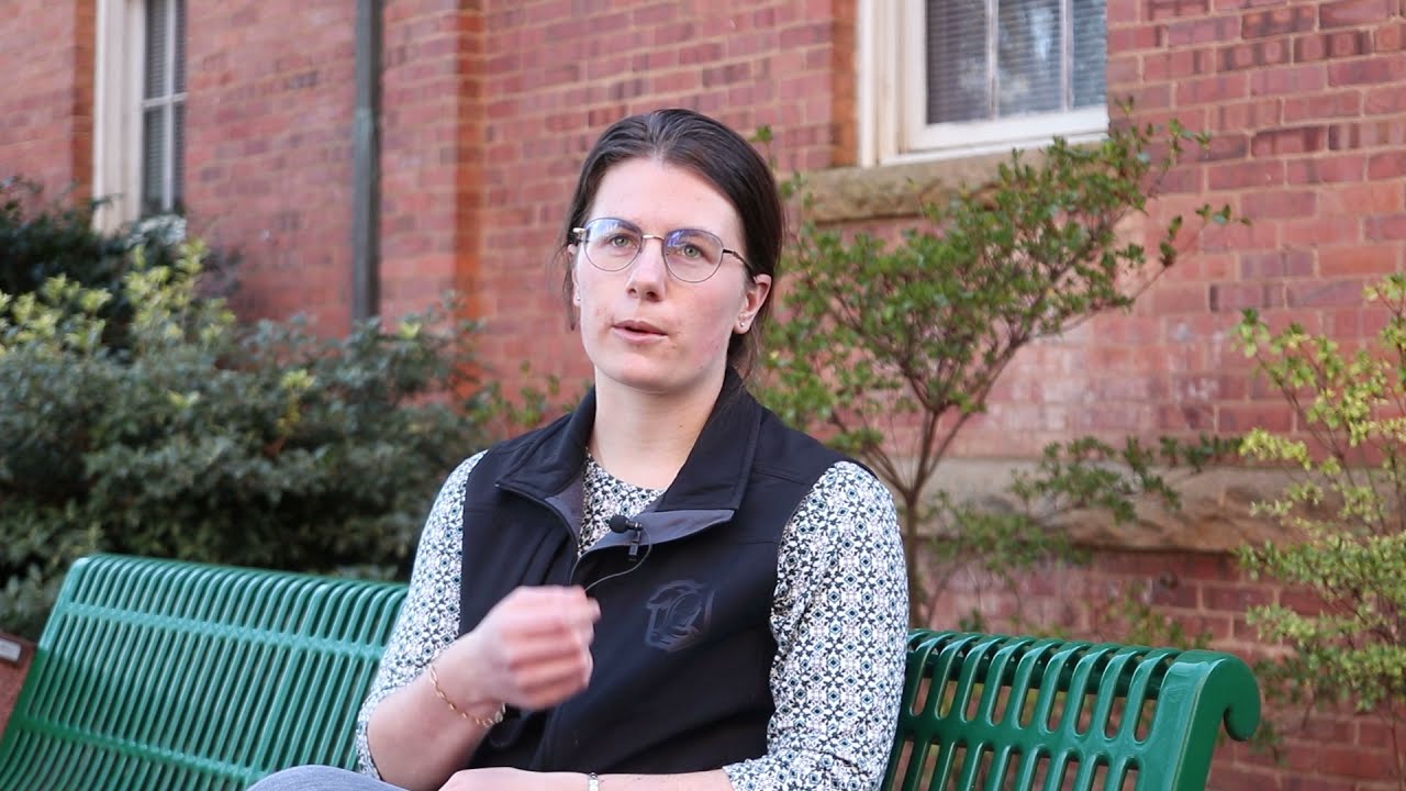 Mary Lang, The Honors College