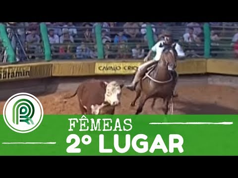 Bocal de Ouro – 2 ° lugar fêmeas – Jotace