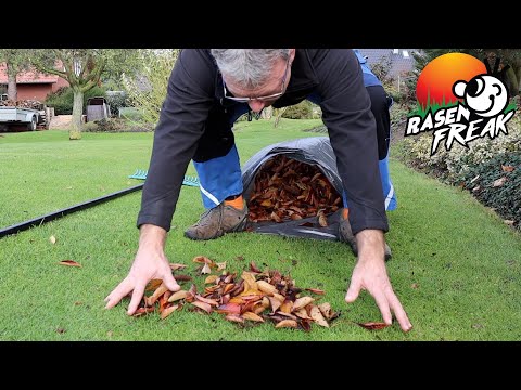 LAUB auf dem Rasen? WEG DAMIT!