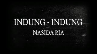 Download lagu INDUNG INDUNG KARAOKE mp3